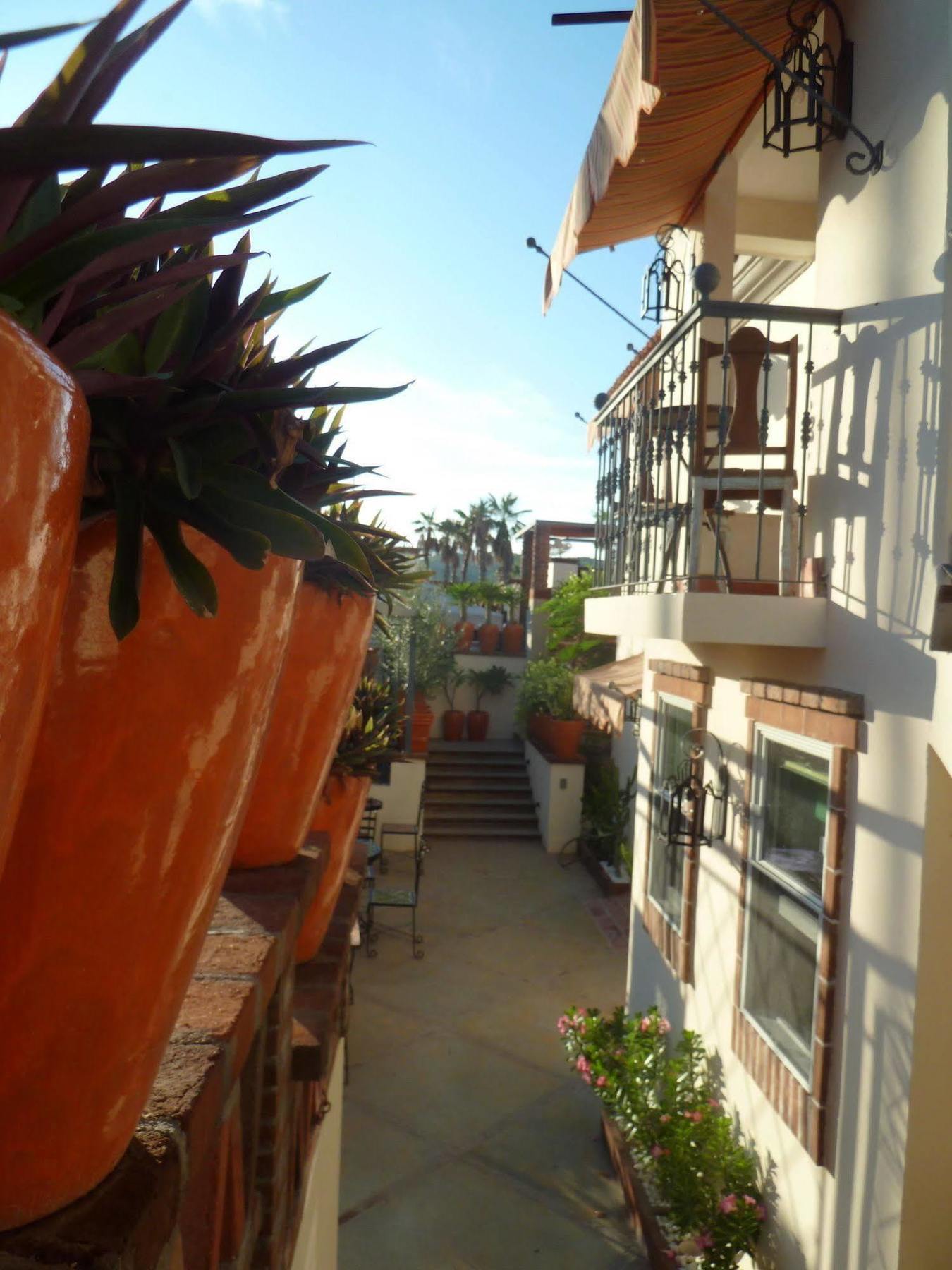 San José del Cabo The Suites By Villa Valentina מראה חיצוני תמונה