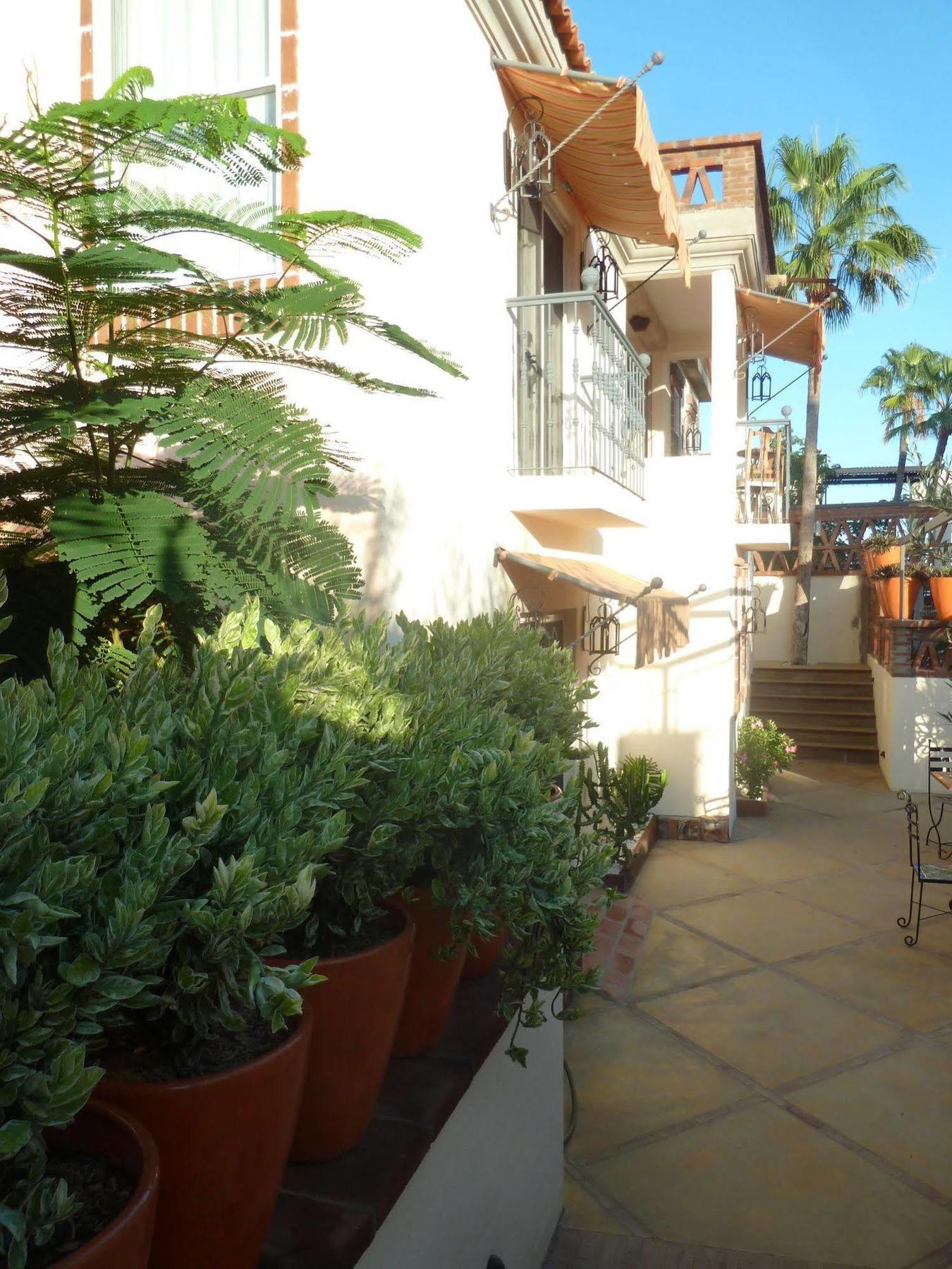 San José del Cabo The Suites By Villa Valentina מראה חיצוני תמונה